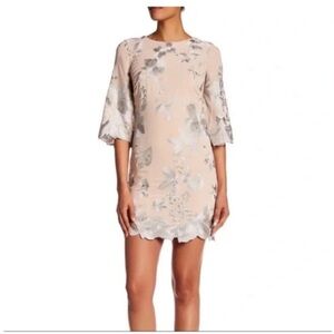 XS Dress the Population Paige Nude Sheath Dress
Silver Embroidery